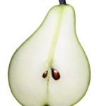 Paronhalva1