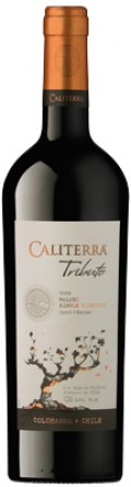Caliterra Tributo Malbec