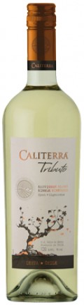 Caliterra Tributo Sauvignon Blanc