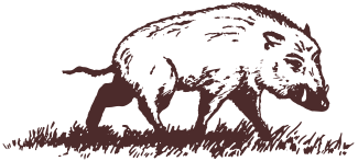 Il cinghiale sfuggente