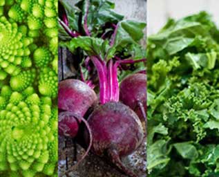 Grönkålssallad med bakade rödbetor