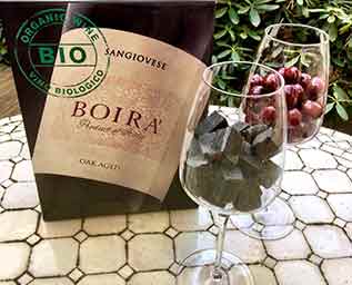 Biologisk mångfald i vingården