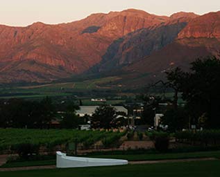 Röda Bergens druvsaft