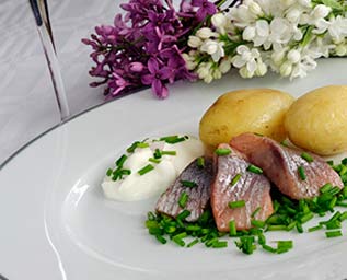 Sill och vin – bu eller bä