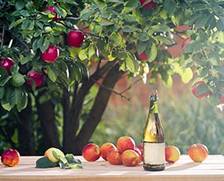 Hantverkscider får egen mässa