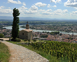 Röda viner från norra Rhône