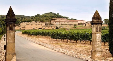 Vit succé i rödvinsland