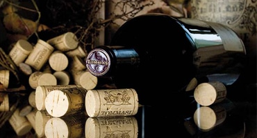 Veronas viner visar vägen