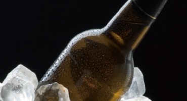 Vin för trendkänsliga