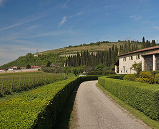 Är dyrt vin alltid bättre än billigt?