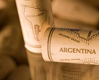 Fem bästa viner från Argentina