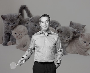 KAN ETT VIN LUKTA KATTKISS?