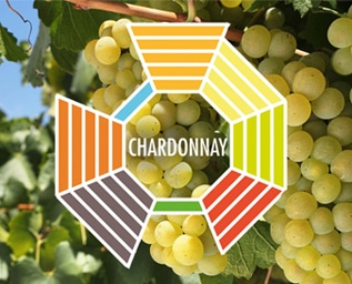 Druvskola Chardonnay