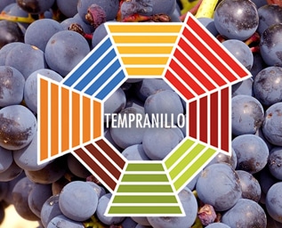 Druvskola Tempranillo