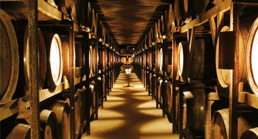 Storslagen miljö för gröna viner