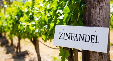 Spaningsarbete bakom druvas ursprung