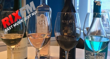 Vinguiden hos RIX MorronZoo