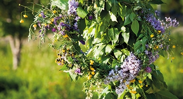 Spännande viner till midsommarsillen