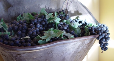 Ikondruva visade vägen för kaliforniskt vin