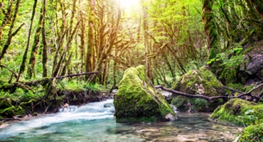 Antikt vin sätter trenden