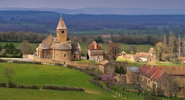 Vita viner från Bourgogne