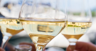 Svalt klimat hemlighet bakom bra Chardonnay