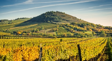 Dygnets temperaturskillnader avgör vinstil