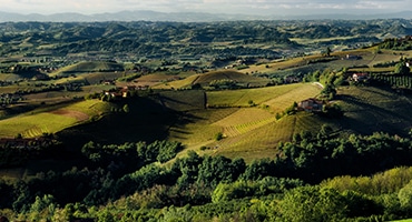 Langhe – kvalitetsdistrikt med potential