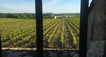 Webb-TV: Condrieu och två skolor vitt