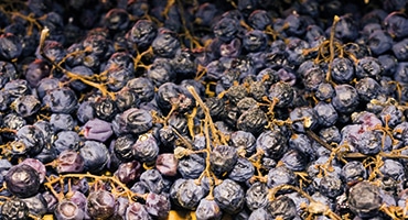 Podd: Älskade Amarone