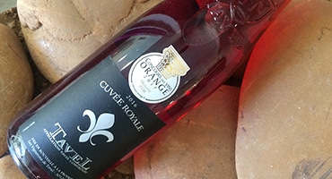 Webb-TV: Färgstark rosé från Tavel