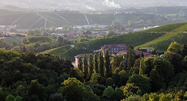 Barolo – skrämmer och förför