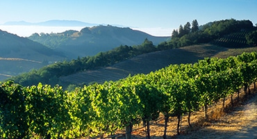 Podd: Fantastiska Kalifornien