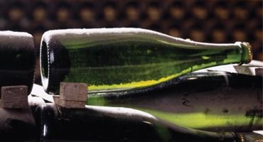 Triss i druvor bakom bästa cavan