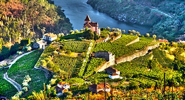 Webb-TV: Visste du att det finns vitt portvin?