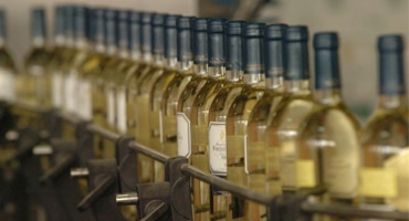 Bästa vita viner från Spanien just nu