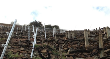 Spanska toppviner i skymundan