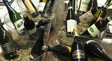 Kvalitetsviner från Italien på turné