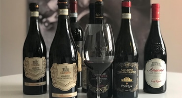 Vinguiden testar amaroneviner