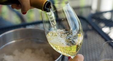 Fem bästa Blanc de blancs