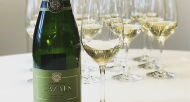 Blanc de blancs – ett vin som sticker ut