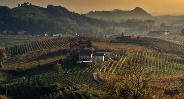 Sju riktigt bra vita viner från Italien