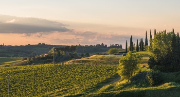 Fem bra bubbel från Italien