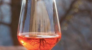 Orange vin – finns det?