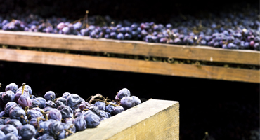 Torrt eller sött vin