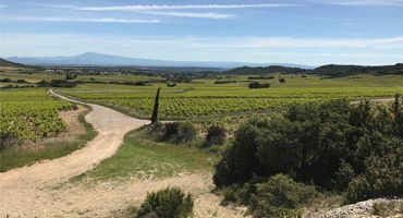 Terroir – vad är det?