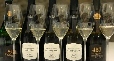 Triss i toppviner från cavagigant