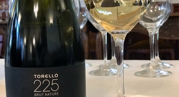 Tio saker du behöver veta om cava