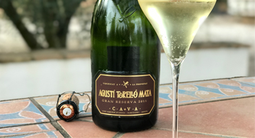 Bästa cava över 100 kronor