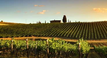 Fem bästa naturviner till våren